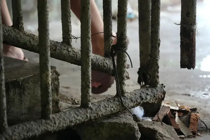 Phân Tích Sâu: Cuộc Sống Tại Chung Cư Ngô Gia Tự - 57 Năm Chưa Được Cải Tạo