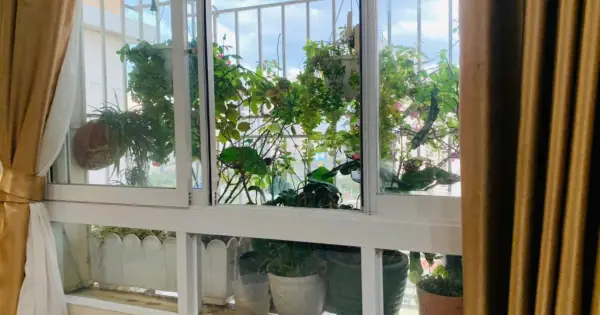 Bán Căn Hộ Chung Cư An Lộc Quận 2: Top 5 Dự Án Hàng Đầu Đáng Đầu Tư