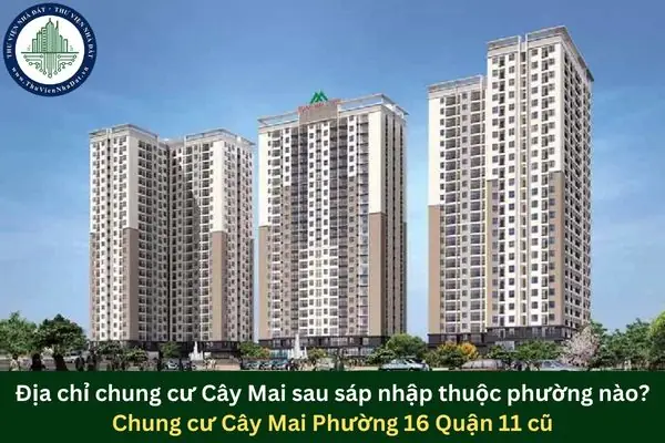 Bán Chung Cư Cây Mai Quận 11: Đánh Giá Chi Tiết 3 Dự Án Hàng Đầu Năm 2026
