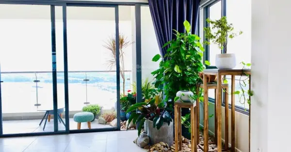 Bán Chung Cư Đo Đạc Quận 2: Top 5 Dự Án Tốt Nhất