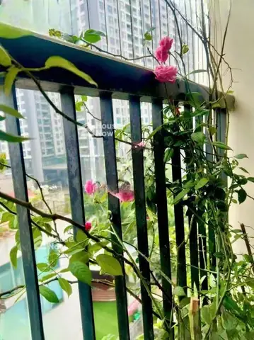 Chung Cư Hh Linh Đàm: Đánh Giá Chi Tiết Và Trải Nghiệm Thực Tế