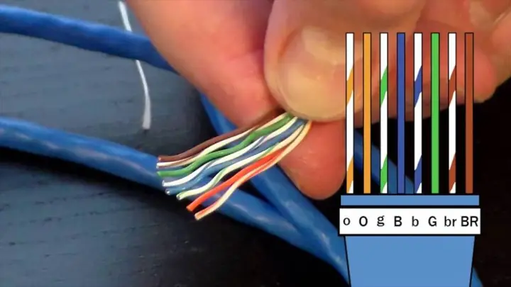 Hướng Dẫn Toàn Tập: Đi Dây Mạng Chung Cư Chuẩn Chuyên Nghiệp
