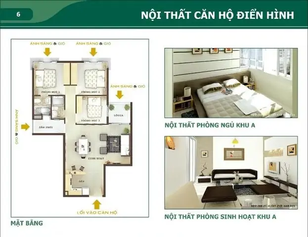 Căn Hộ Chung Cư Quang Thái: Đánh Giá Toàn Diện Và Lời Khuyên Mua Hàng