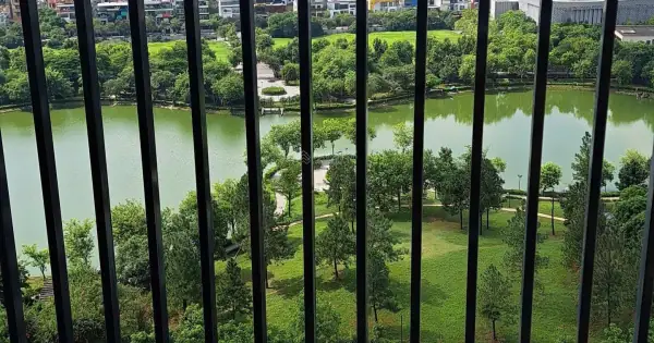 Đánh Giá Chi Tiết Các Căn Hộ Full Đồ Cho Thuê Tại The Zen Gamuda