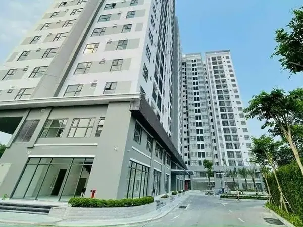 Top 6 Chung Cư Cho Thuê Chất Lượng Gần Cầu Bình Triệu