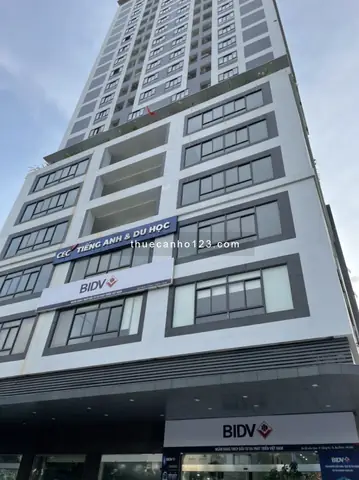 Đánh Giá Chi Tiết Các Lựa Chọn Cho Thuê Căn Hộ Chung Cư Tại Liễu Giai, Ba Đình, Hà Nội Đánh Giá Chi Tiết Các Lựa Chọn Cho Thuê Căn Hộ Chung Cư Tại Liễu Giai, Ba Đình, Hà Nội