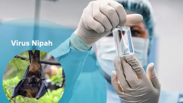 Chung Cư 145 Nguyễn Trãi: Đánh Giá Chi Tiết Về An Toàn Và Rủi Ro Trong Một Tòa Nhà 50 Năm Tuổi