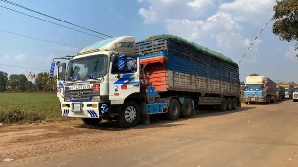 Chung Cư 145 Nguyễn Trãi: Đánh Giá Chi Tiết Về An Toàn Và Rủi Ro Trong Một Tòa Nhà 50 Năm Tuổi