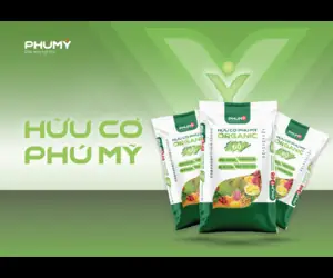 Chung Cư 17t10 Nguyễn Thị Định: Đánh Giá Toàn Diện Về An Toàn Pccc Và Quản Lý Sau Sự Cố Cháy Năm 2017 Chung Cư 17t10 Nguyễn Thị Định: Đánh Giá Toàn Diện Về An Toàn Pccc Và Quản Lý Sau Sự Cố Cháy Năm 2017