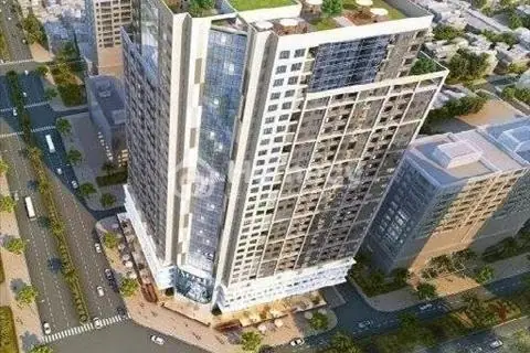 Chung Cư 282 Nguyễn Huy Tưởng: Đánh Giá Chi Tiết Dream Center Home Và Nhà Ở Xã Hội Bca