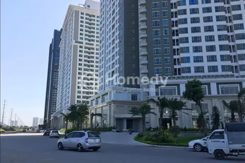 Thiết Kế Nội Thất Chung Cư 3 Phòng Ngủ: Đánh Giá Toàn Diện