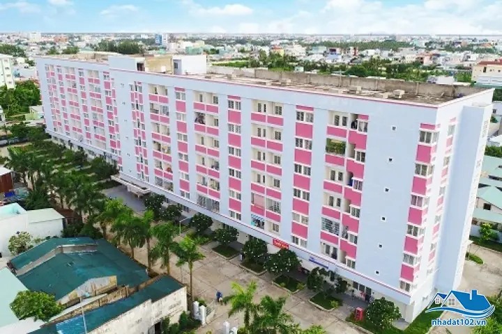 Đánh Giá Chung Cư 444 Ngô Quyền: Mô Hình Quản Trị Cộng Đồng Thành Công