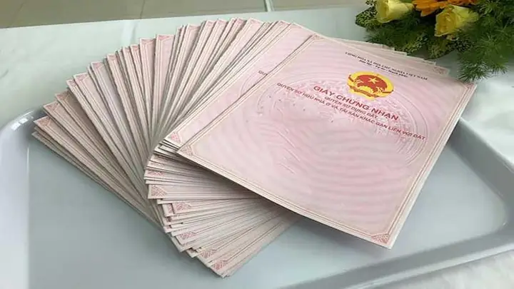 Chung Cư 50 Năm Và Chung Cư Vĩnh Viễn: Tất Tần Tật Về Thời Hạn Sở Hữu Chung Cư 50 Năm Và Chung Cư Vĩnh Viễn: Tất Tần Tật Về Thời Hạn Sở Hữu