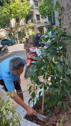 Đánh Giá Chi Tiết Chung Cư 54 Hạ Đình: Không Gian Sống Và Tinh Thần Cộng Đồng Đáng Ngưỡng Mộ