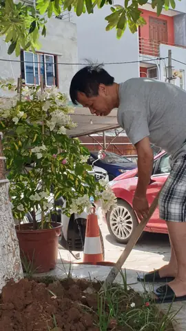 Đánh Giá Chi Tiết Chung Cư 54 Hạ Đình: Không Gian Sống Và Tinh Thần Cộng Đồng Đáng Ngưỡng Mộ
