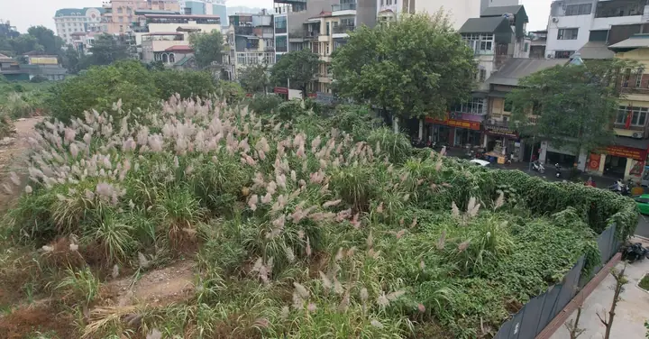Chung Cư 94 Lò Đúc: Đánh Giá Toàn Diện Và Trải Nghiệm Thực Tế Chung Cư 94 Lò Đúc: Đánh Giá Toàn Diện Và Trải Nghiệm Thực Tế