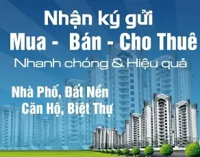 Chung Cư Bắc Hà Lucky Building: Đánh Giá Chi Tiết Từ A Đến Z