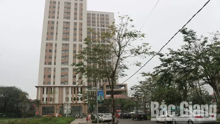Chung Cư Bách Việt Areca Garden: Đánh Giá Pháp Lý & Tính Khả Thi Thực Tế
