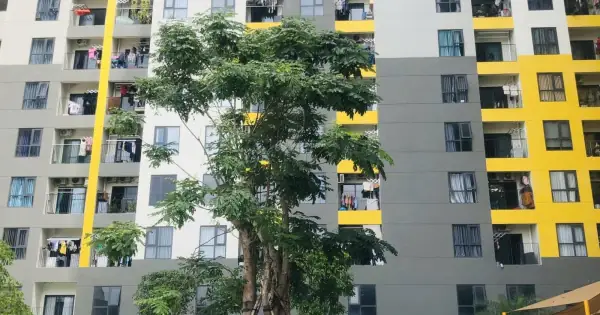Đánh Giá Chi Tiết Chung Cư Bcons Suối Tiên: Vị Trí, Giá Bán Và Trải Nghiệm Thực Tế