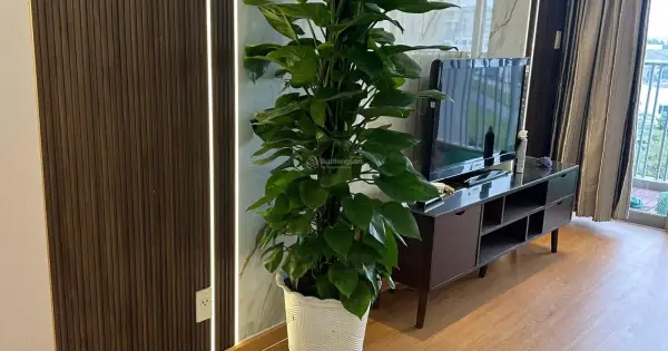 Đánh Giá Chung Cư The Canary Heights Bình Dương: Phân Tích Toàn Diện Từ Vị Trí Đến Trải Nghiệm Thực Tế