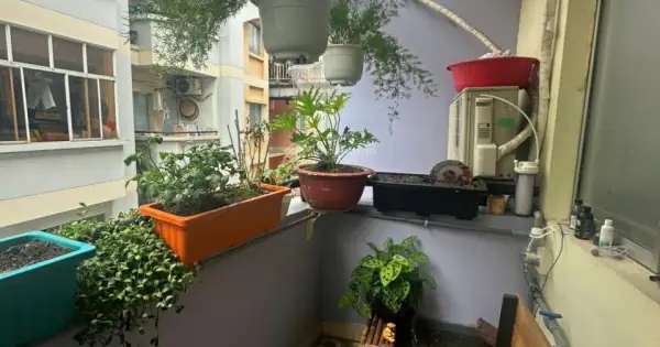 Chung Cư Cây Da Sà: Đánh Giá Chi Tiết Về Thiết Kế, Tiện Ích Và Trải Nghiệm Thực Tế