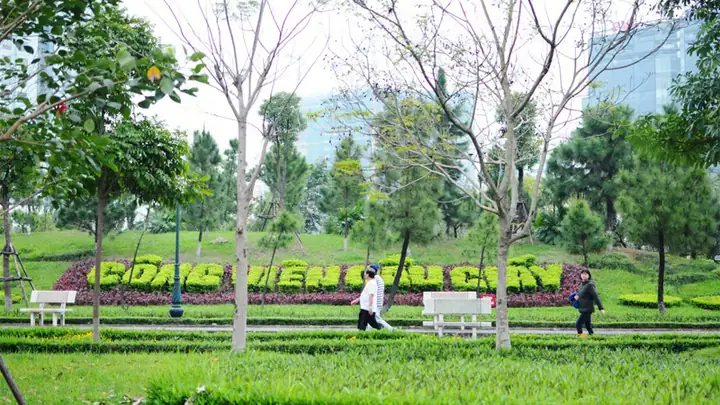 Đánh Giá Chi Tiết Các Dự Án Chung Cư Gần Công Viên Cầu Giấy: Góc Nhìn Thực Tế Cho Người Mua Lần Đầu