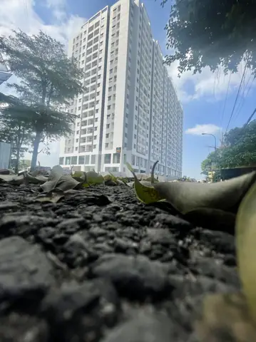 Review Dịch Vụ Cho Thuê Căn Hộ Ctl Tower Tham Lương: Có Đáng Tin Cậy?