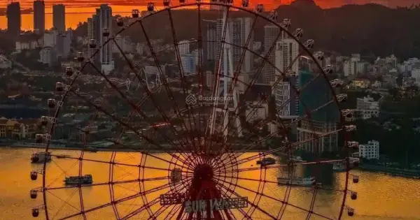 Chung Cư D5c Trần Thái Tông: Đánh Giá Toàn Diện Và Lời Khuyên Cho Người Mua Nhà