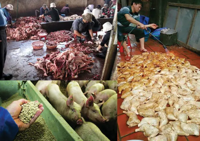Chung Cư Xuống Cấp: Nguyên Nhân, Hậu Quả Và Cách Khắc Phục Hiệu Quả Chung Cư Xuống Cấp: Nguyên Nhân, Hậu Quả Và Cách Khắc Phục Hiệu Quả