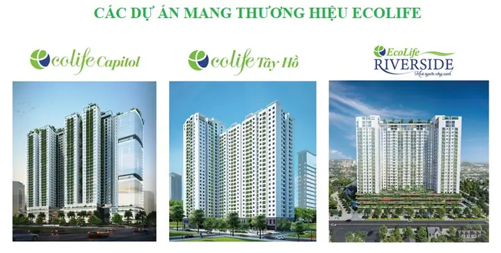 Chung Cư Ecolife Riverside Quy Nhơn: Đánh Giá Toàn Diện Về Dự Án Sống Xanh Đầu Tiên Tại Quy Nhơn