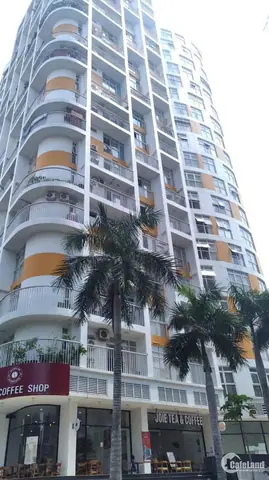 Top 5 Chung Cư Gần Chợ Bình Điền Quảng Ngãi Tốt Nhất 2026 Top 5 Chung Cư Gần Chợ Bình Điền Quảng Ngãi Tốt Nhất 2026
