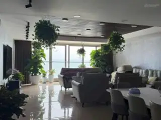 Đánh Giá Chung Cư Gold Sea Vũng Tàu: Tổng Quan Ưu Điểm, Nhược Điểm Và Báo Giá Thực Tế
