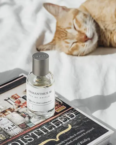 Review Chi Tiết The Gold View Quận 4: Địa Chỉ, Vị Trí & Đánh Giá Toàn Diện