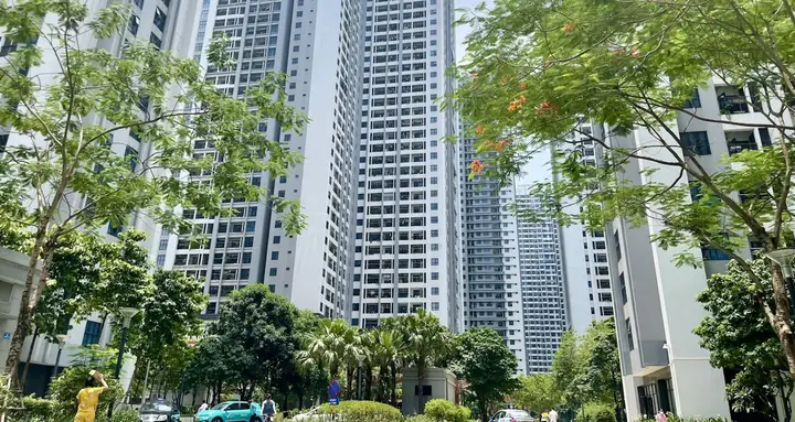 Giường Gội Đầu Vòm Nước: Đánh Giá Toàn Diện & Bảng So Sánh Chi Tiết Giường Gội Đầu Vòm Nước: Đánh Giá Toàn Diện & Bảng So Sánh Chi Tiết