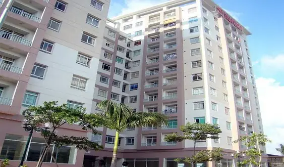 Đánh Giá Chi Tiết 20 Trường Mầm Non Tốt Gần Khu Chung Cư Z751 Hà Đô Quận Gò Vấp