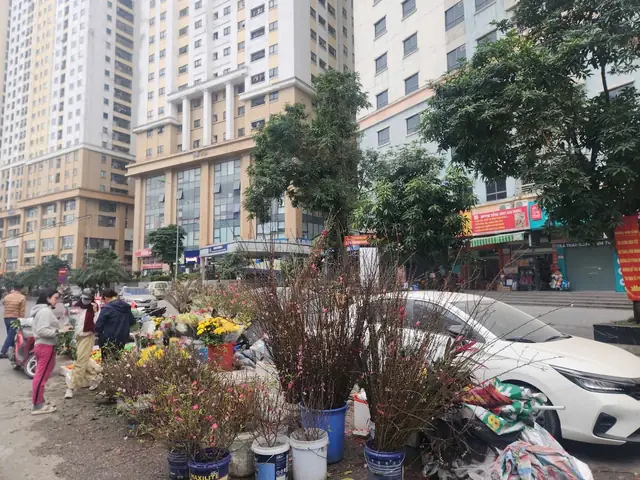 Chung Cư Kim Văn Kim Lũ: Đánh Giá Toàn Diện Về Vấn Đề Lấn Chiếm Vỉa Hè Và Giải Pháp Chung Cư Kim Văn Kim Lũ: Đánh Giá Toàn Diện Về Vấn Đề Lấn Chiếm Vỉa Hè Và Giải Pháp