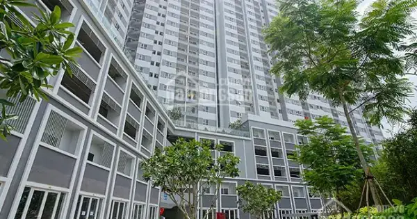 Đánh Giá Chung Cư Moonlight Quận 6: Phân Tích Thực Tế Trước Khi Đầu Tư
