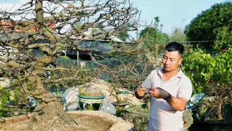 Chung Cư Napoleon Castle 1 Nha Trang: Phân Tích Vụ Vi Phạm Pháp Luật Và Bài Học Cho Người Mua Nhà