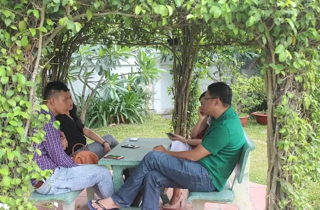 Chung Cư Ngọc Phương Nam: Đánh Giá Chi Tiết Về Sai Phạm Pháp Lý Và Rủi Ro An Toàn
