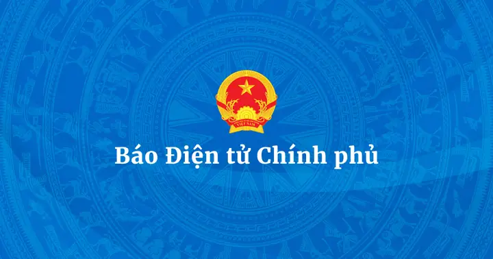 Chung Cư Nhiêu Tứ 1: Đánh Giá Chi Tiết Về Một Ngôi Nhà Ở Giữa Lòng Thành Phố