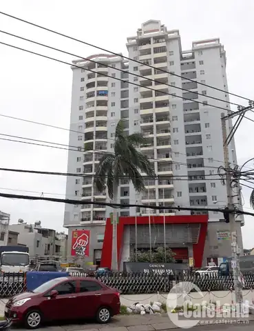 Chung Cư Phú Thạnh Sổ Hồng: Thông Tin Chi Tiết Và Hướng Dẫn Kiểm Tra Toàn Diện