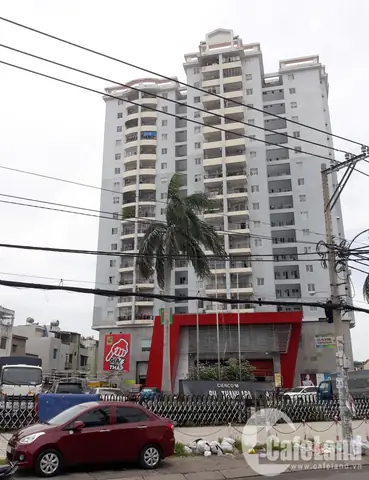 Chung Cư Phú Thạnh Sổ Hồng: Thông Tin Chi Tiết Và Hướng Dẫn Kiểm Tra Toàn Diện