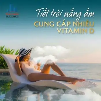 Chung Cư Phú Thịnh Plaza Phan Thiết: Đánh Giá Toàn Diện Từ Vị Trí Đến Tiện Ích