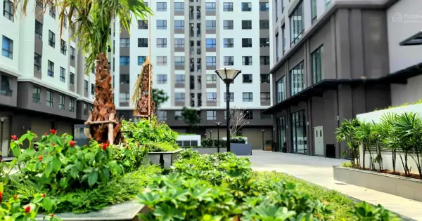 Chung Cư Phường 6 Quận 8: Thông Tin Chi Tiết Và Nhận Định Thực Tế