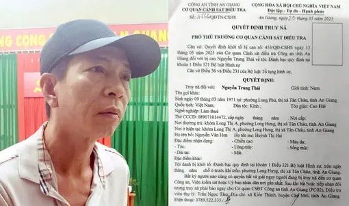 Đánh Giá Chi Tiết 10 Dự Án Chung Cư Quận Bình Thạnh: Từ Tiêu Chuẩn Sống Đến Giá Trị Đầu Tư
