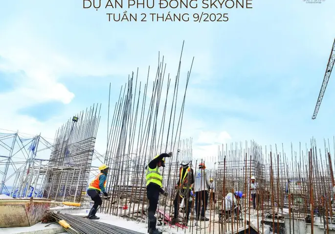 Chung Cư Quận Phú Nhuận: Tổng Hợp Thị Trường & Top Dự Án 2026