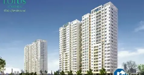 Đánh Giá Chi Tiết Chung Cư Sen Xanh Lotus Garden: Tổng Quan, Tiện Ích & Phân Tích Đầu Tư