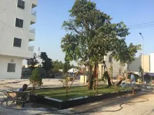 Chung Cư Tecco Tower Dĩ An: Tổng Quan Dự Án Và Đánh Giá Chi Tiết