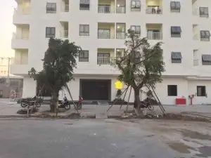 Chung Cư Tecco Tower Dĩ An: Tổng Quan Dự Án Và Đánh Giá Chi Tiết