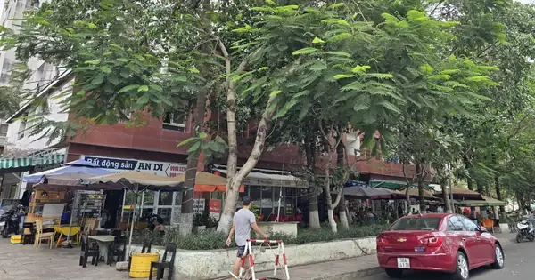 Chung Cư Thái An 3: Phân Tích Toàn Diện Vụ Cưỡng Chế Và Bài Học Quản Lý Đô Thị